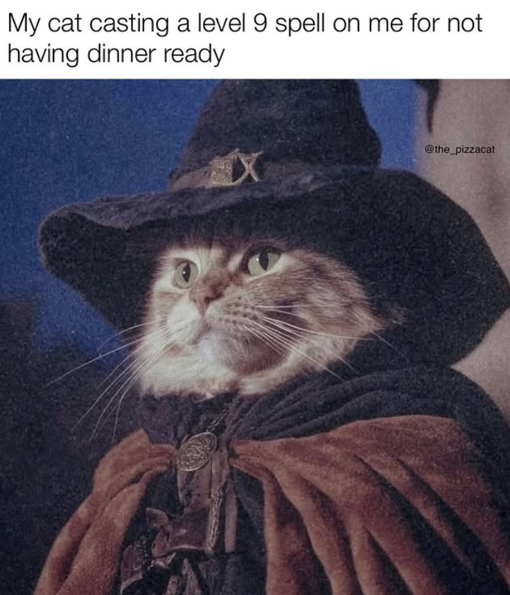 My cat casting a level 9 spell on me for not having dinner ready @the_pizzacat