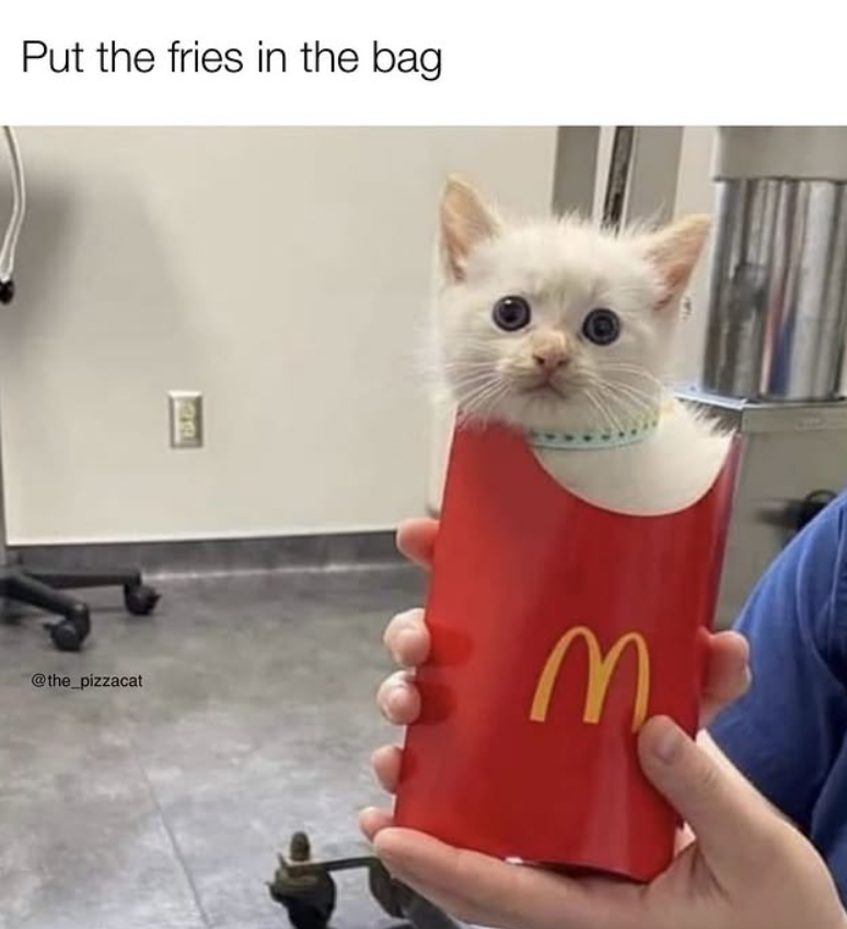 Put the fries in the bag @the_pizzacat M