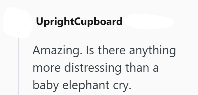 UprightCupboard Amazing. Is there anything more distressing than a baby elephant cry.