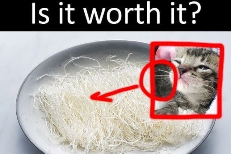 Is it worth it?