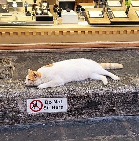 RAYMOND WEIL Do Not Sit Here