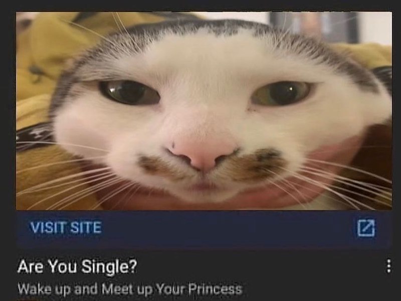 VISIT SITE Are You Single? Wake up and Meet up Your Princess E