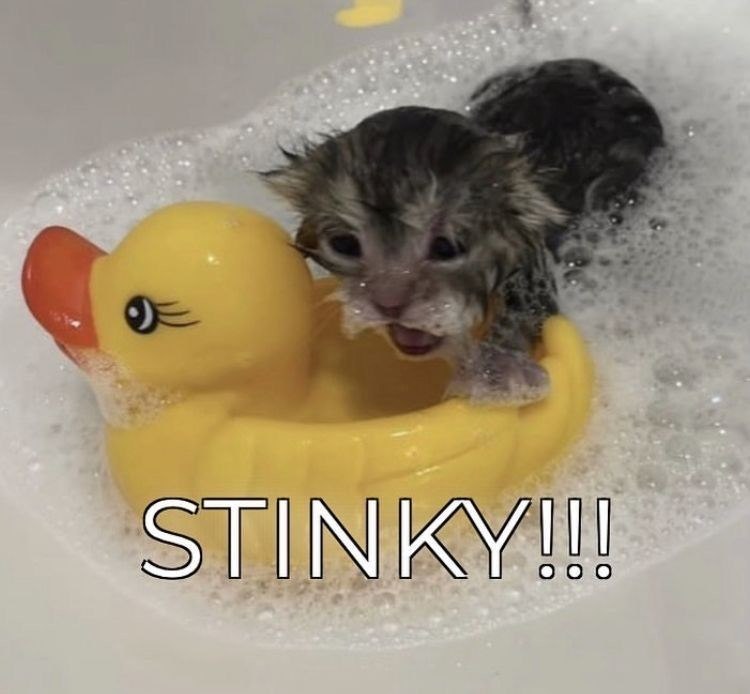 STINKY!!!