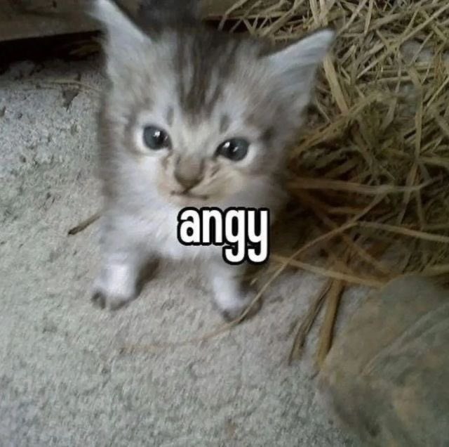 angy