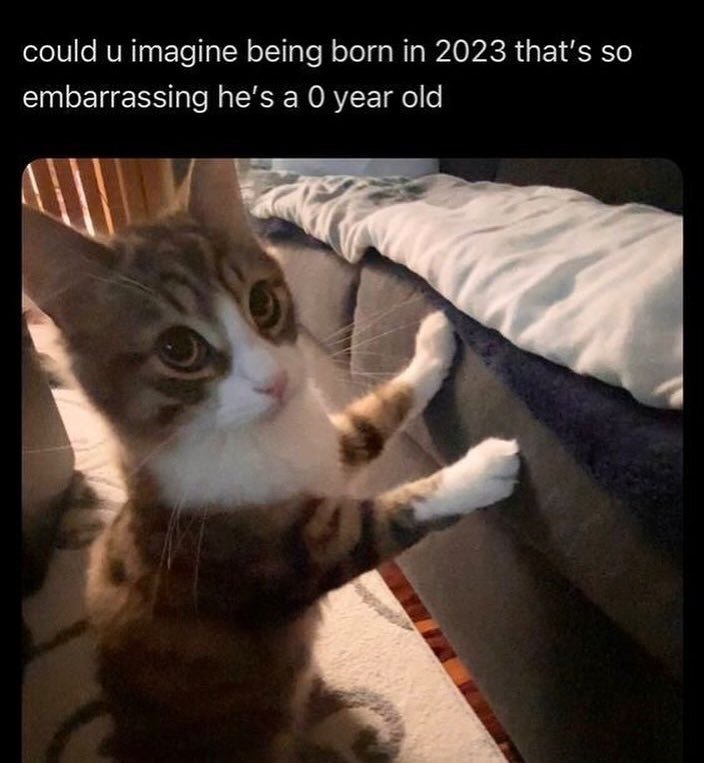 could u imagine being born in 2023 that's so embarrassing he's a 0 year old