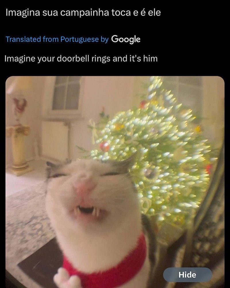 Imagina sua campainha toca e é ele Translated from Portuguese by Google Imagine your doorbell rings and it's him Hide