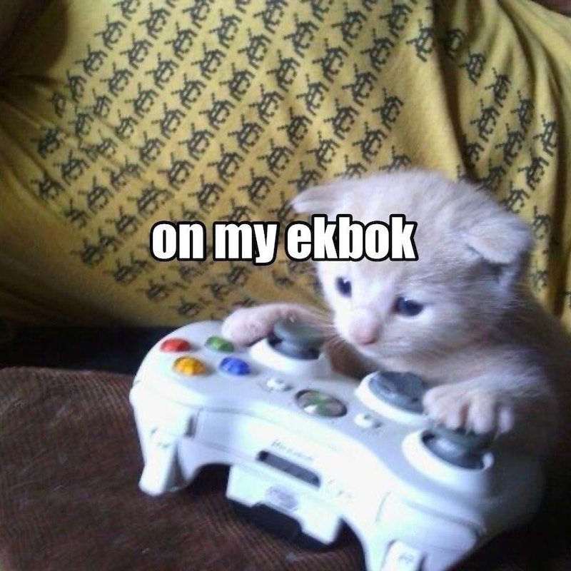 on my ekbok C