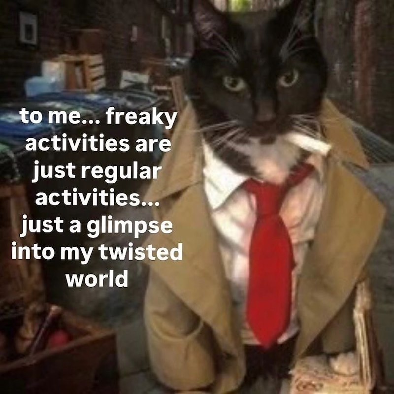 D to me... freaky activities are just regular activities... just a glimpse into my twisted world
