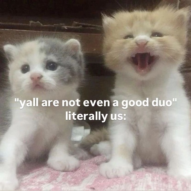 "yall are not even a good duo" literally us: