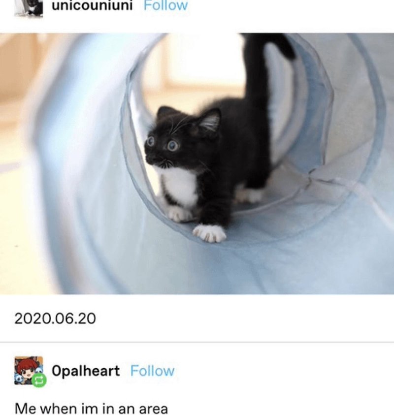 unicouniuni Follow 2020.06.20 Opalheart Follow Me when im in an area