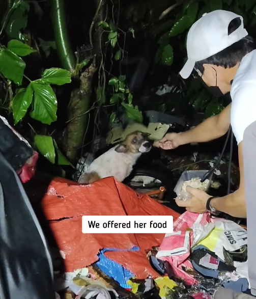 We offered her food SMC