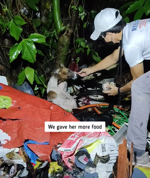 We gave her more food SMC RES