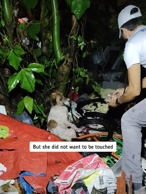 But she did not want to be touched