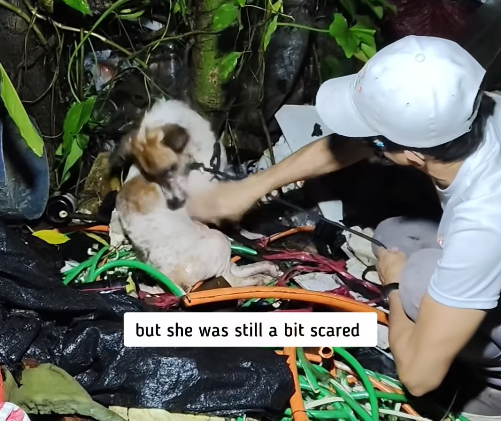 but she was still a bit scared