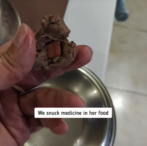 We snuck medicine in her food