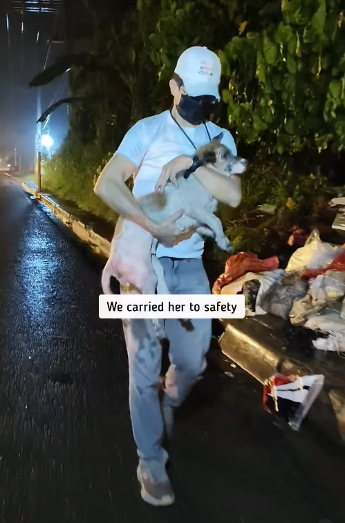 We carried her to safety