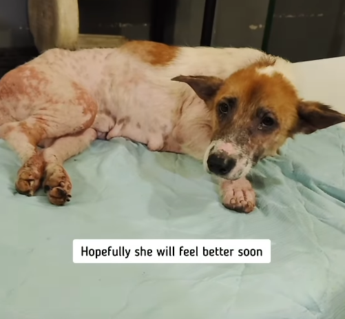 Hopefully she will feel better soon