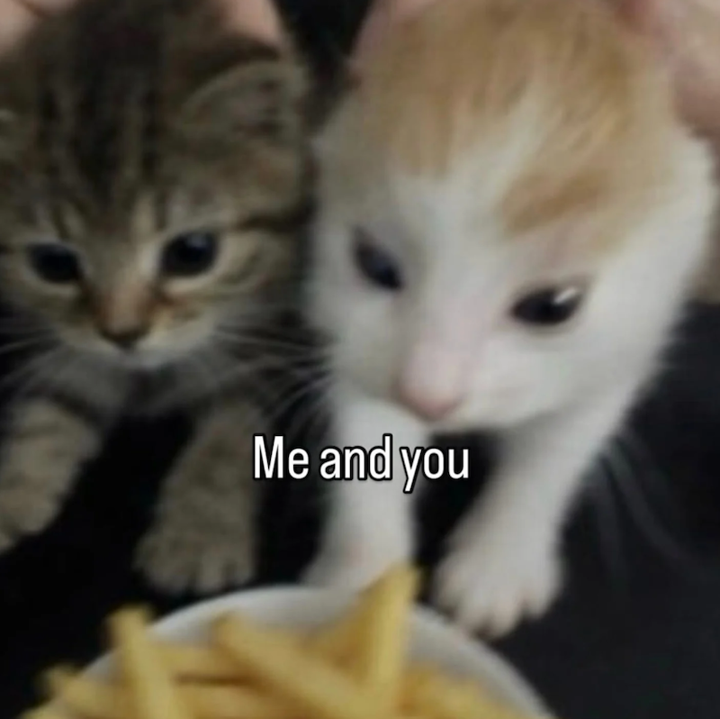 Me and you