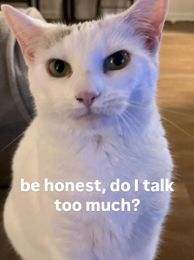 be honest, do I talk too much?