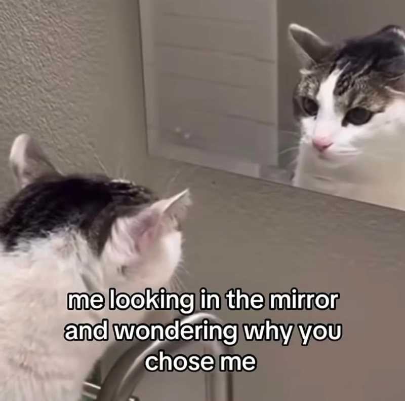 me looking in the mirror and wondering why you chose me