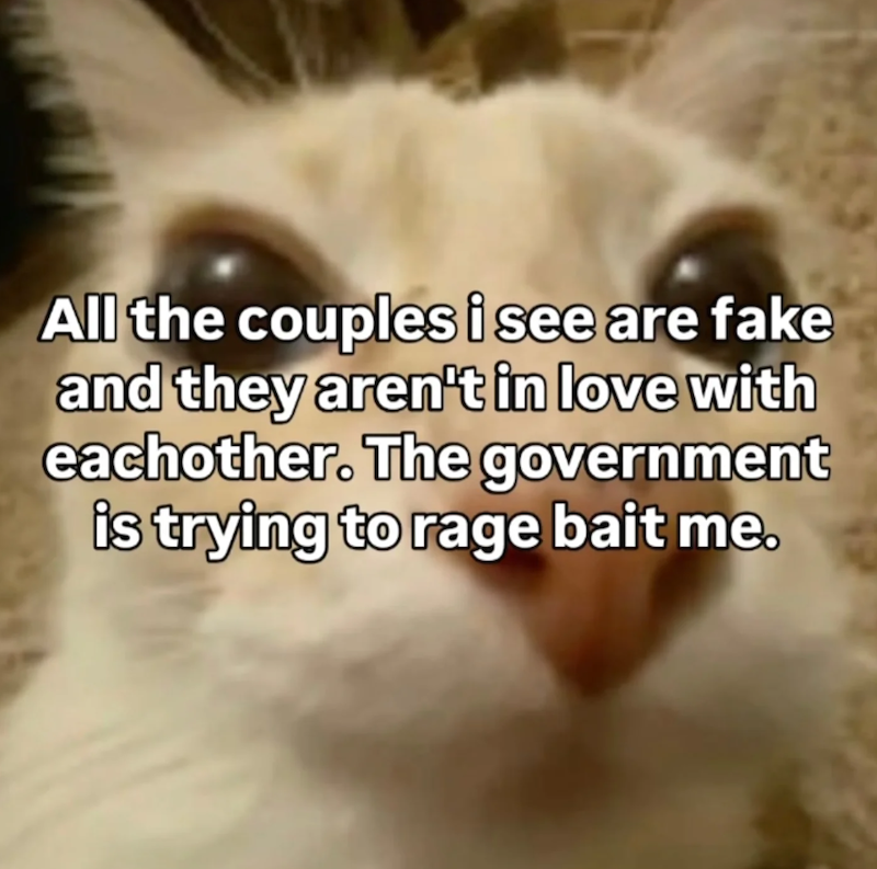 All the couples i see are fake and they aren't in love with eachother. The government is trying to rage bait me.
