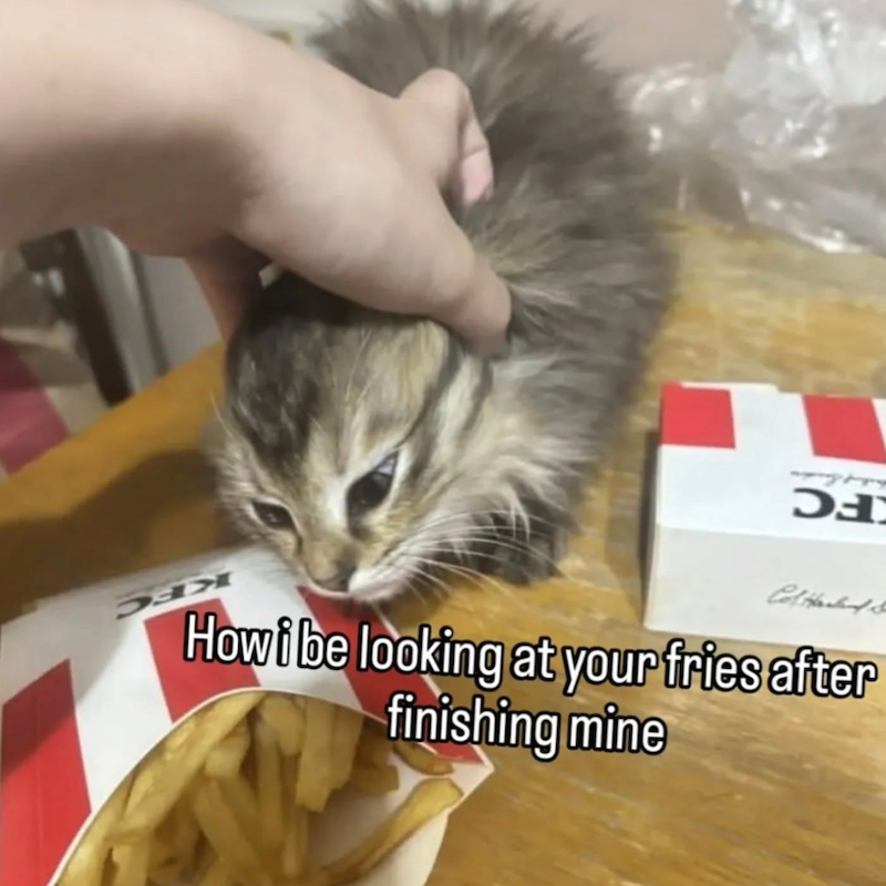 ၁. Col Hacked S How i be looking at your fries after finishing mine