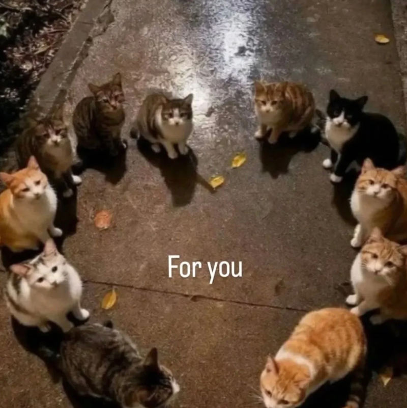 For you