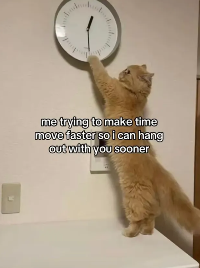 me trying to make time move faster so i can hang out with you sooner