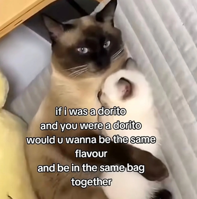 if i was a dorito and you were a dorito would u wanna be the same flavour and be in the same bag together
