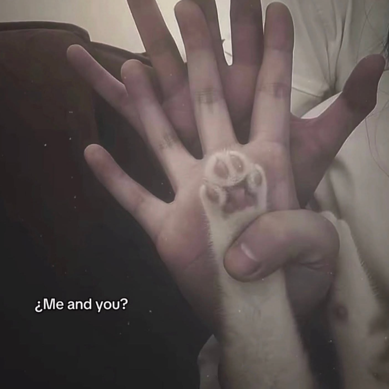 ¿Me and you?