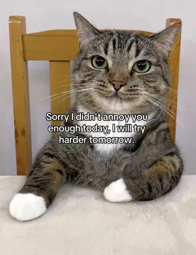 Sorry I didn't annoy you enough today, I will try harder tomorrow.