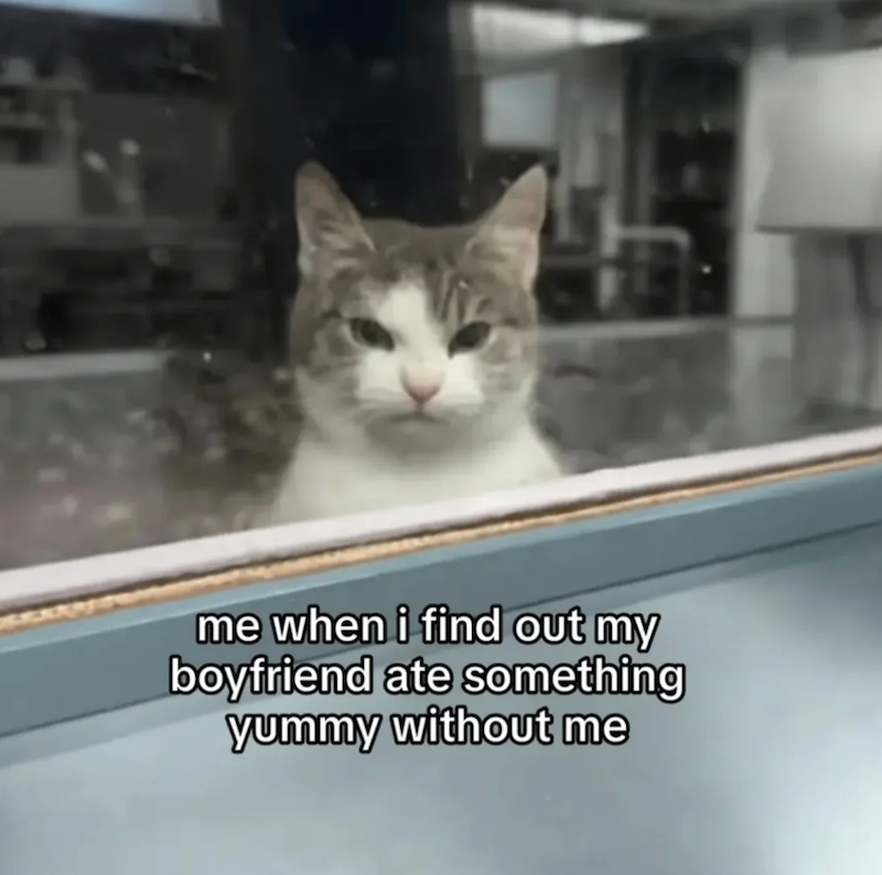 me when i find out my boyfriend ate something yummy without me