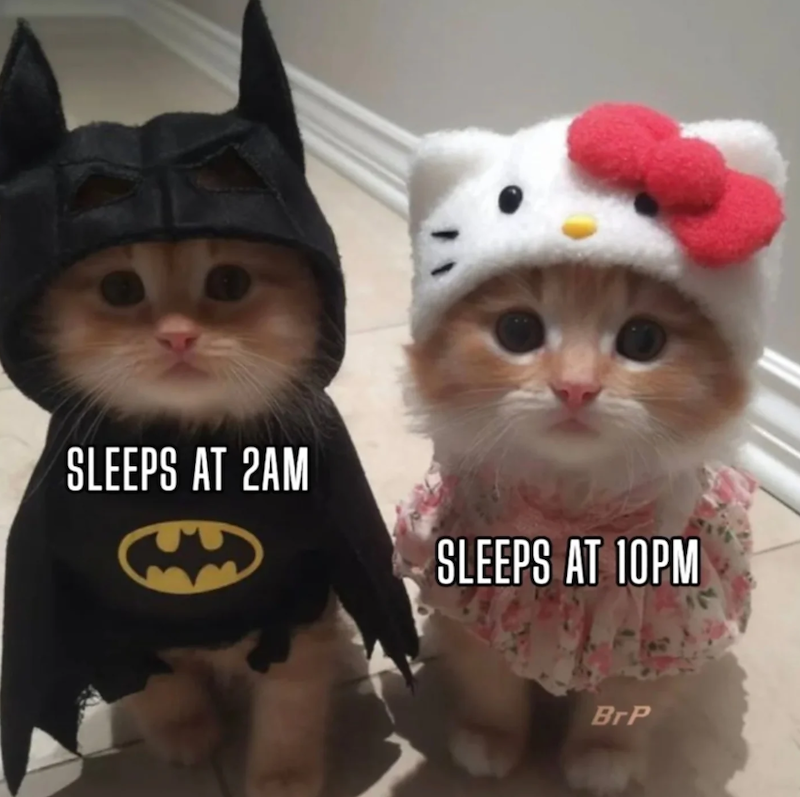 SLEEPS AT 2AM SLEEPS AT 10PM BrP