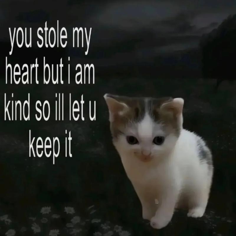 f you stole my heart but i am kind so ill let u keep it