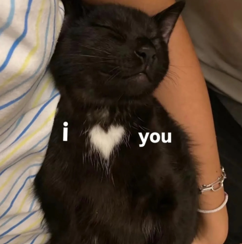 i you
