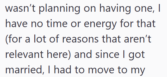 wasn't planning on having one, I have no time or energy for that (for a lot of reasons that aren't relevant here) and since I got married, I had to move to my