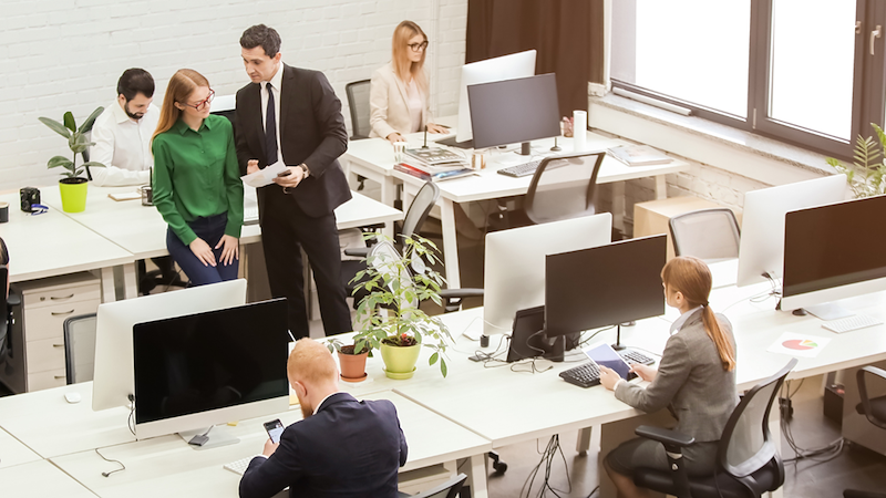 Employees Working in a Modern Office
