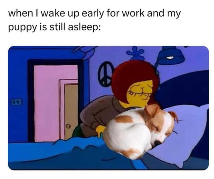 when I wake up early for work and my puppy is still asleep: