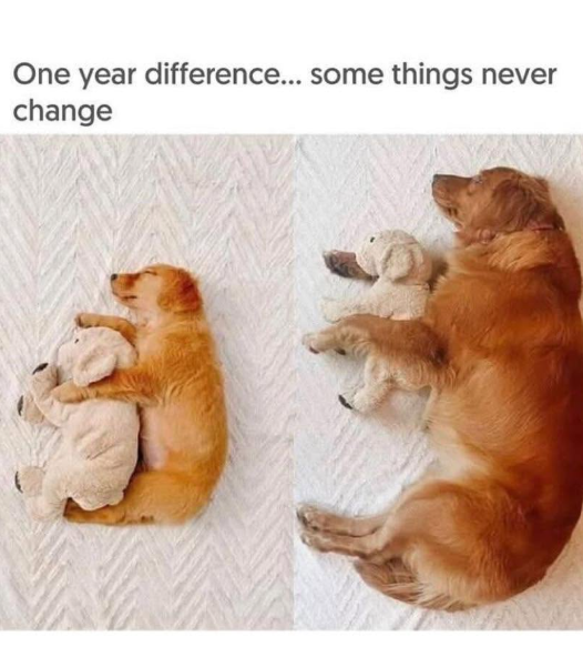 One year difference... some things never change