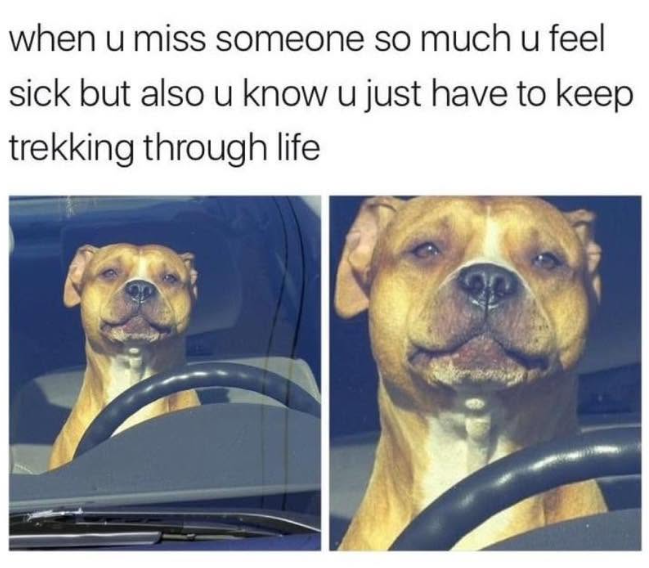 when u miss someone so much u feel sick but also u know u just have to keep trekking through life