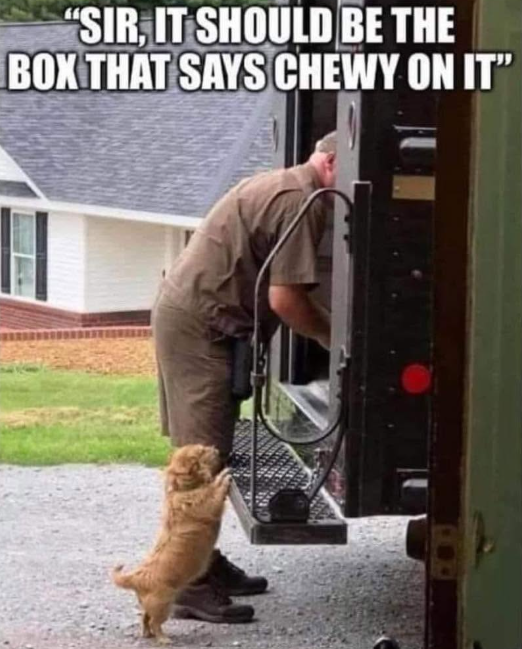 "SIR, IT SHOULD BE THE BOX THAT SAYS CHEWY ON IT"
