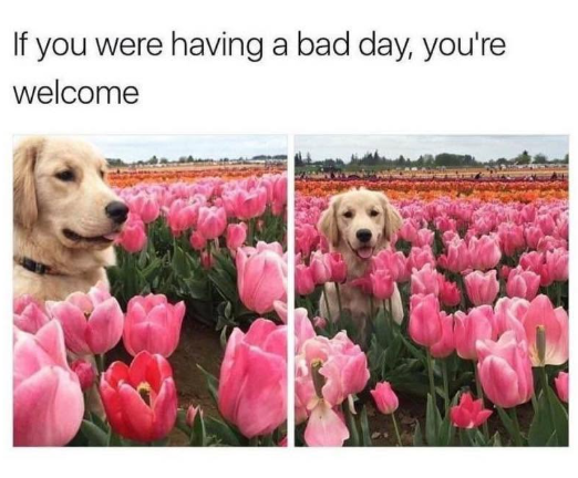 If you were having a bad day, you're welcome