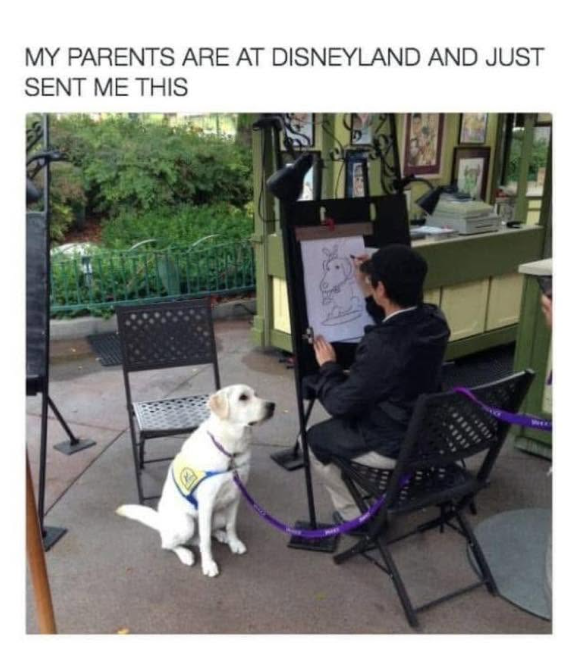 MY PARENTS ARE AT DISNEYLAND AND JUST SENT ME THIS