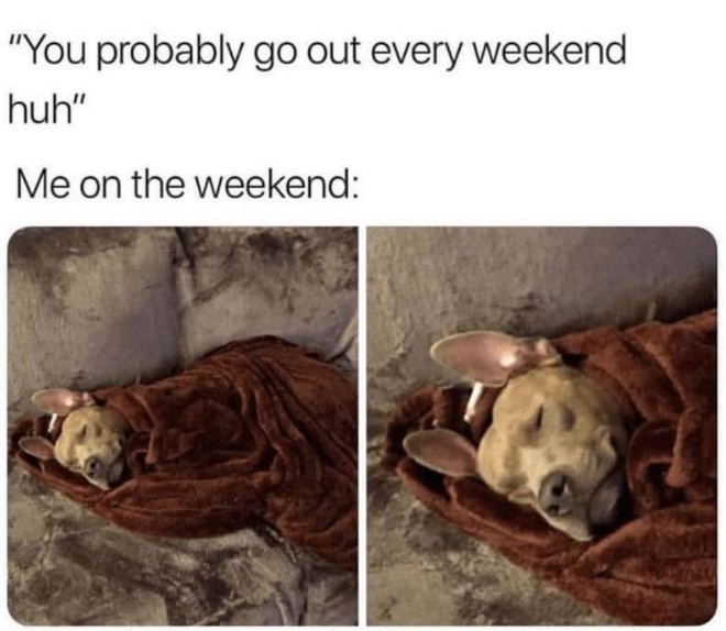 "You probably go out every weekend huh" Me on the weekend: