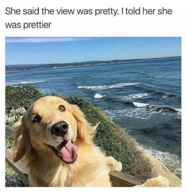 She said the view was pretty. I told her she was prettier