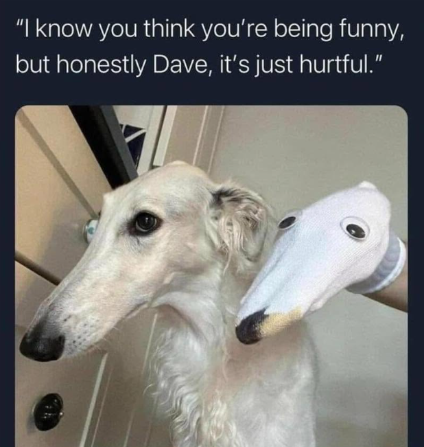 "I know you think you're being funny, but honestly Dave, it's just hurtful.”
