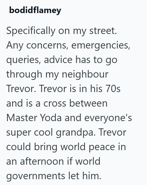 bodidflamey Specifically on my street. Any concerns, emergencies, queries, advice has to go through my neighbour Trevor. Trevor is in his 70s and is a cross between Master Yoda and everyone's super cool grandpa. Trevor could bring world peace in an afternoon if world governments let him.