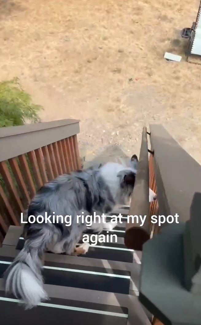 Looking right at my spot again