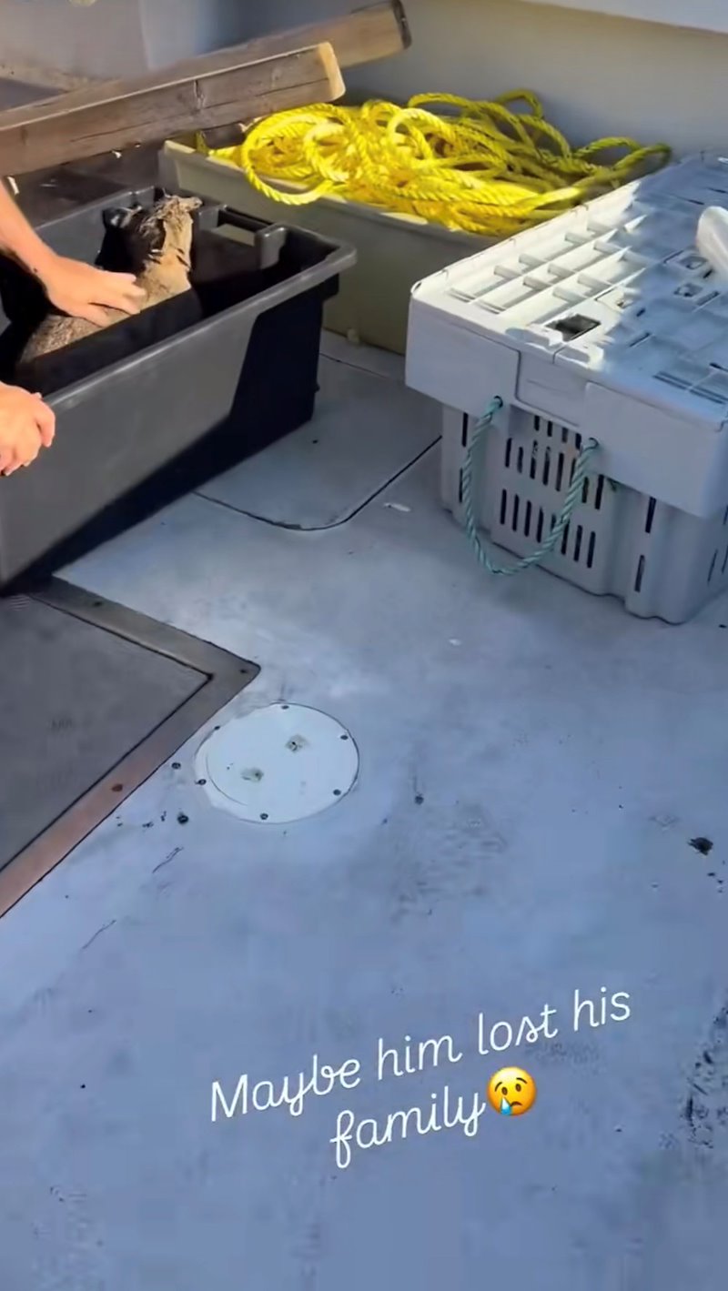 Maybe him lost his family