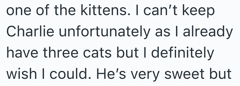one of the kittens. I can't keep Charlie unfortunately as I already have three cats but I definitely wish I could. He's very sweet but